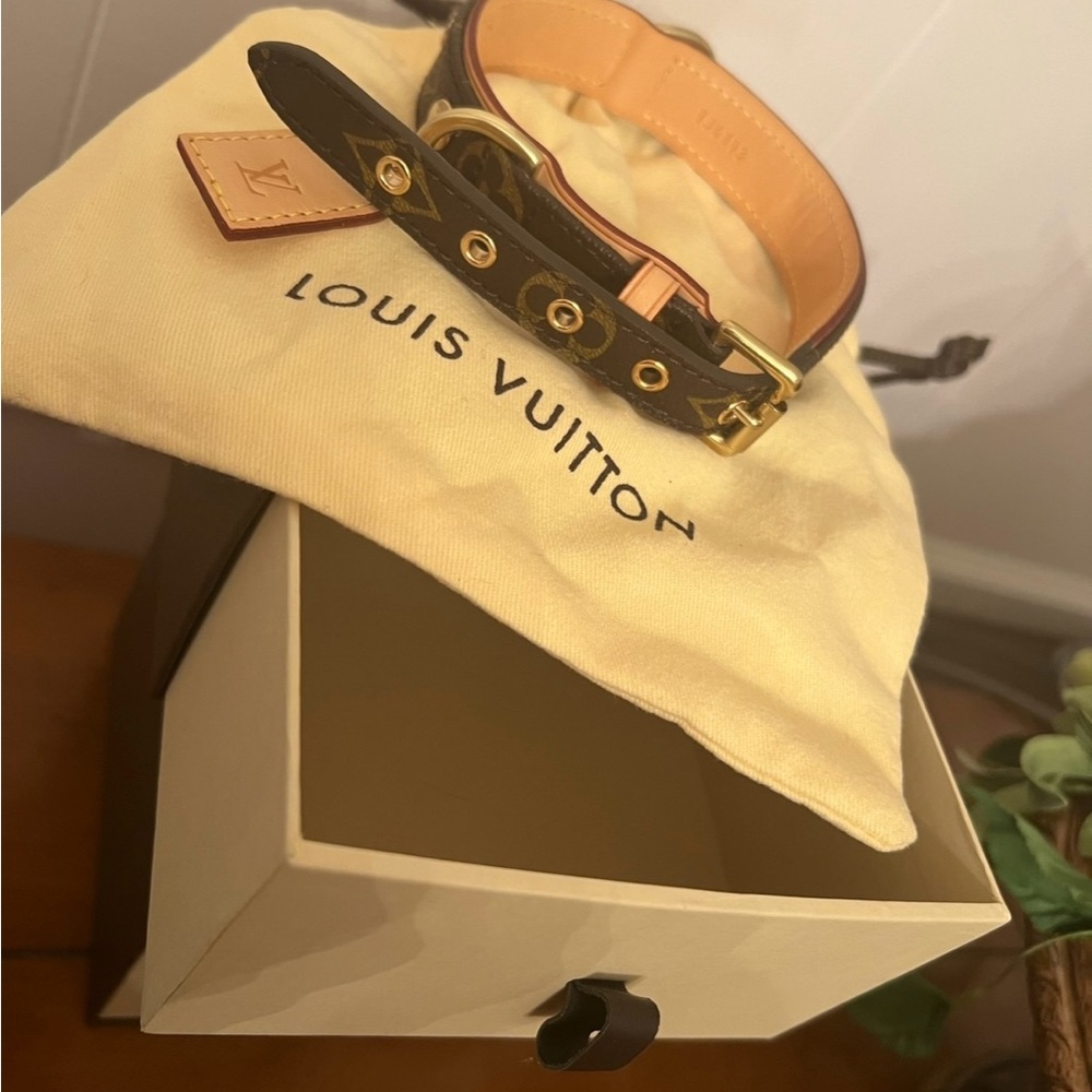 Louis Vuitton Brown Leather collar